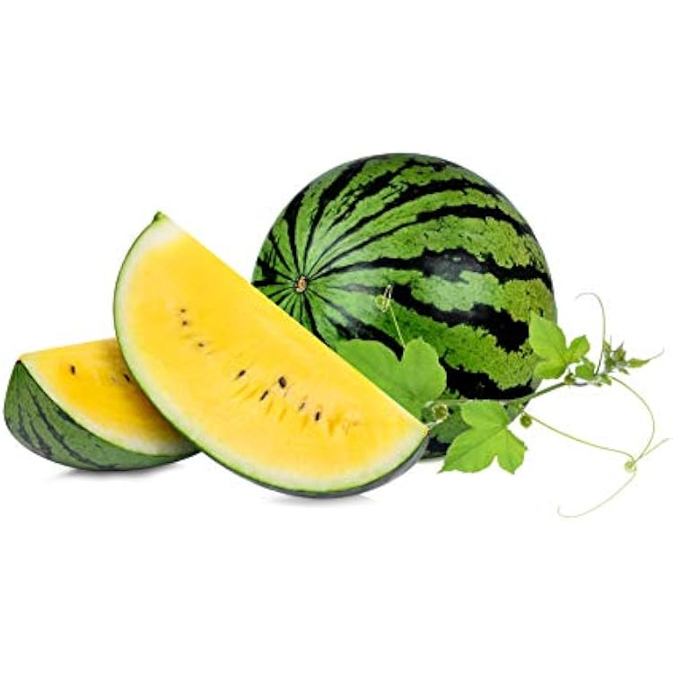 Watermelon Yellow Doll - Hybrid Great Garden Vegetable 10 Seeds