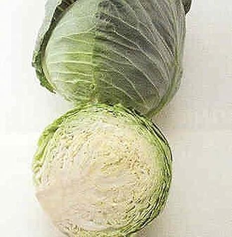 Cabbage Golden Cross Vegetable Seeds