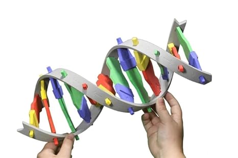 DNA Starter Kit 2-Group Set