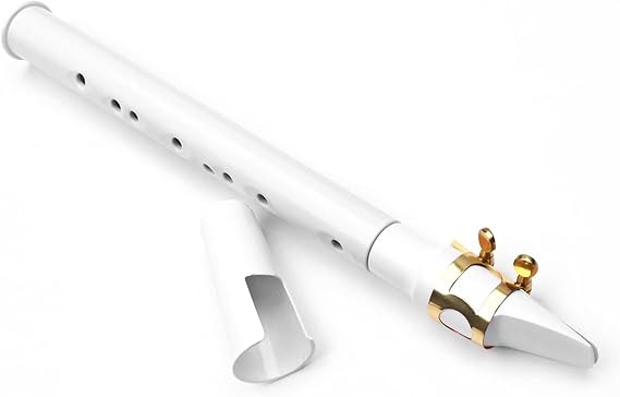 Sax Beginners Kit Mini Pocket Saxophone Portable Little Sax with Black Carrying Bag Woodwind Instrument Black White Wind Instrument (Color : White)
