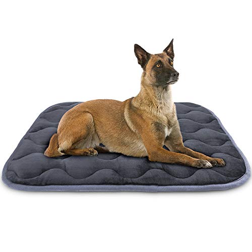 Dog Bed Crate Pad Soft Plush Kennel Cushion Mat Machine Washable Anti-Slip Pet Bed for Small Medium Large Dogs and Cats Sleeping, 42 x 27 Inch