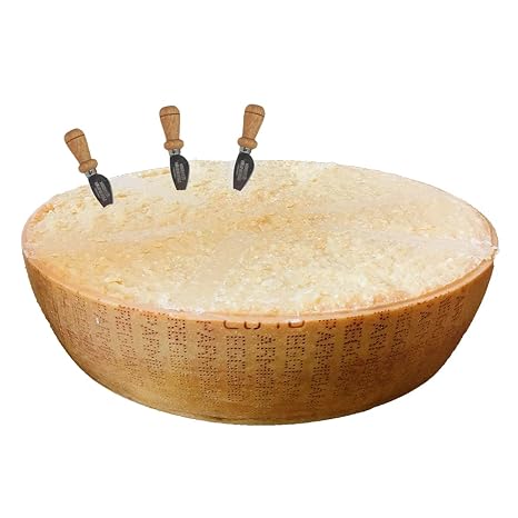 Parmigiano Reggiano g.U. vom Hügel SALICETO Halber Käse 3 Messer 24 Monate 18 Kg