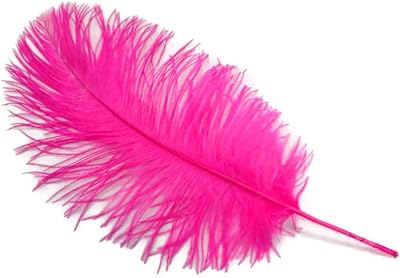 10 Pieces - 12-16 Hot Pink Dyed Ostrich Tail Fancy Feathers Centerpiece Costume Carnival Mardi Gras Supply | Moonlight Feather