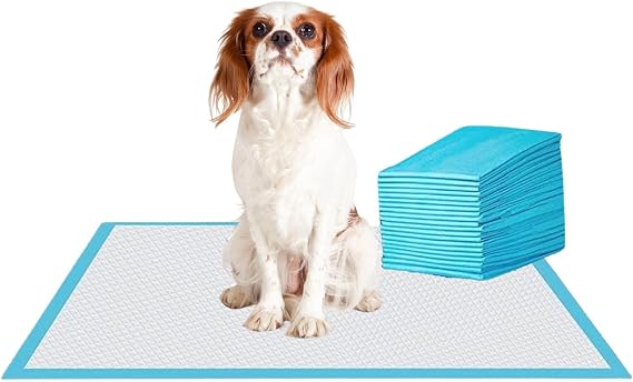 BrilliantPad Super Absorbent Puppy Potty Pads, Disposable (10 Count)