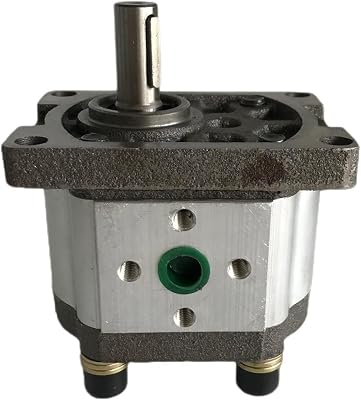 DOLUNTO Gear Pump Hydraulic Oil Pump CBN-G310 G314 G306 G320 G325 G316 Color : CBN-G320