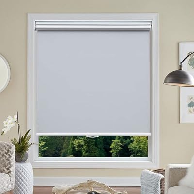 Cordless Roller Blinds Blackout Window Blinds and Shades Customized Size Spring Blinds Privacy Waterproof Thermal Insulated Fabric Curtain UV Protection for Home Office, 29 W x 50 L, Light Grey