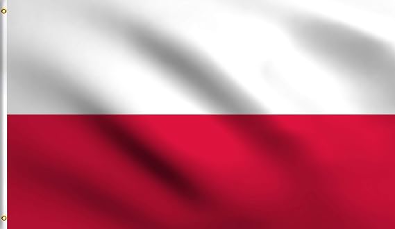 DMSE Poland Flag 2X3Ft Foot 100% Polyester 100D Flag