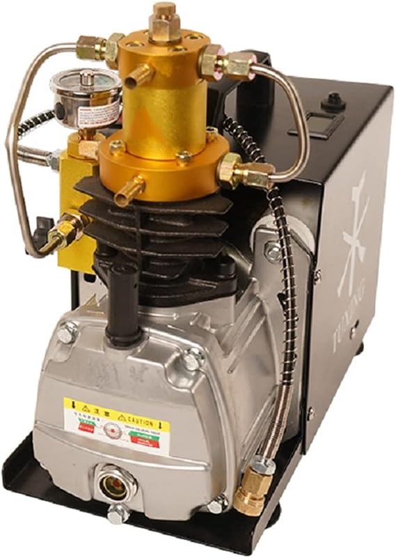 DOLUNTO TXES022 4500Psi 300Bar 30Mpa PCP Air Compressor, High Pressure Water Pump Pneumatic PCP Tank Set Pressure (Size : 220V)