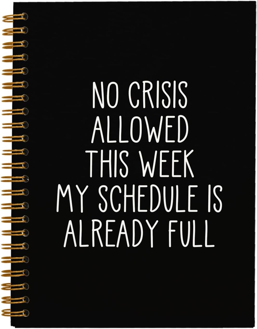 hold fizz Funny Gag Office Gifts Notebook Journal, Sarcastic Funny Gifts for Women Men Coworker Employee Boss Adults, No Crisis Allowed This Week, Journals for Writing(5.5'' X 8.3'')