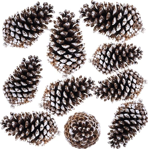 Supla 10 PCS Natural Pinecones Medium Frosted Pine Cones Ornaments Real Preserved Pine Cones - Dried -3"- 4" Tall for Home Decor Christmas Winter Xmas
