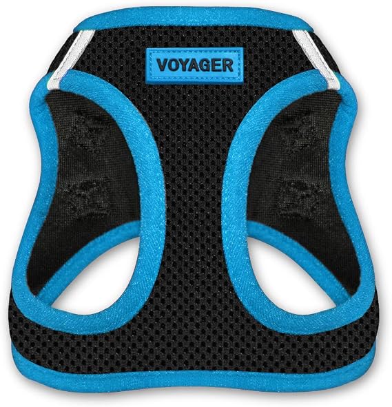 Best Pet Supplies - All Weather Mesh, Reflective, No Pull Harness for Small, Medium Dogs, Cats - Secure with Hook & Loop Fastener, Buckle, Double D-Rings - Blue Trim, XS