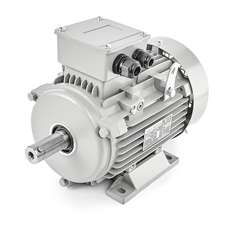 Electric Motor 0.75 kW 2800 rpm 3-Phase 230/400 V Three-Phase Motor MOLL-MOTOR Energy Saving Motor Foot Mounting B3 Asynchronous Motor High Efficiency Industrial Electric Motors Three Phase for Compressor Pump