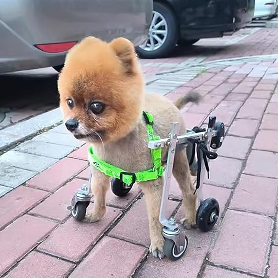 Full Support Dog Ourdooe Wheelchair w/ 4 Wheel, Adjustable Pet Mobility Aid for Dog Walking, Dog Hip Dysplasia Brace Support Back Legs(Size XXS)