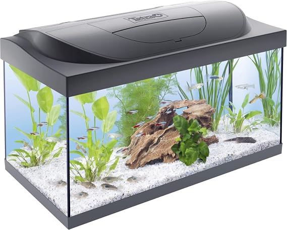 Tetra Starter Line 54 l aquarium complete set – day and night lamp including LED lighting, internal filter, heater, fish food and water preparation device [Energy Class F]