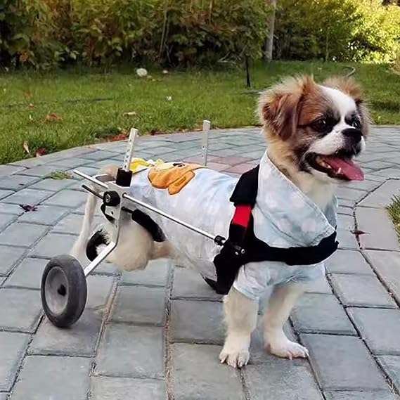 Adjustable 2-Wheel Dog Cart/Wheelchair for Pet/Doggie, Small Dog Mobility Aids Support for Back Legs, Disabled Dog Wheel Chair, Easy Assemble(Size S)