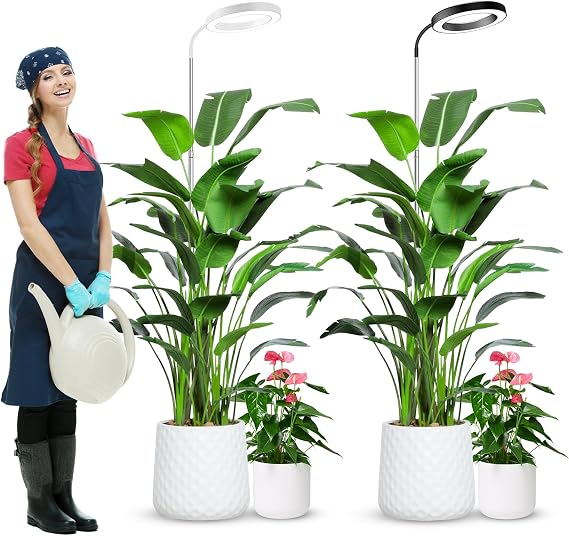 Wolezek Grow Lights for Indoor Plants, 80 LEDs 6500K Full Spectrum Grow Light, 65in Large Grow Light, 3 Colors Grow Lamp with 360Gooseneck, 6/12/16H Timer, 5 Brightness, Height Adjustable