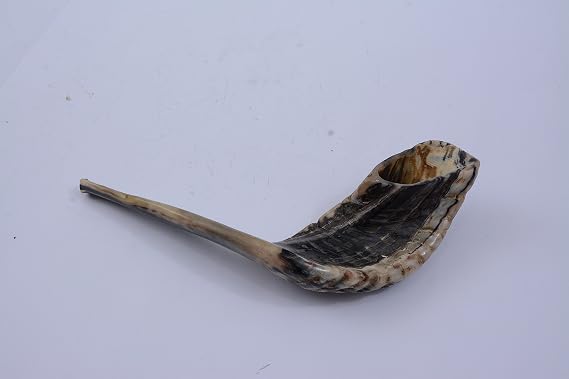 Authentic Natural Ram's Horn Shofar - Kosher Certified (12-14") - Includes Blowing Guide & Odor Neutralizer