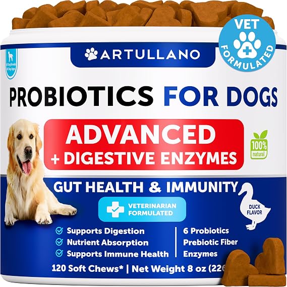 Probiotics for Dogs - 120 Chews - Dog Yeast Probiotic - Dog Probiotics | Dog Probiotics for Yeast, Itchy Skin and Itchy Ear - w/ Prebiotics, Digestive Enzymes - Gut Health Probiotic Chews for Dogs
