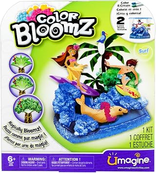 Color Bloomz - Surf Activity Kit