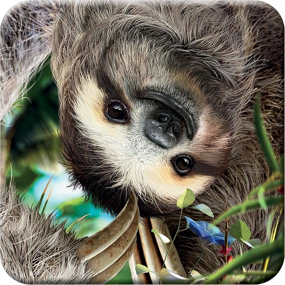 3D LiveLife Cork Coaster - Hangin' Around from Deluxebase. Lenticular 3D Sloth Coaster. Non-Slip Table Coasters Featuring Original Artwork by David Penfound. Ideal for Home Decor.