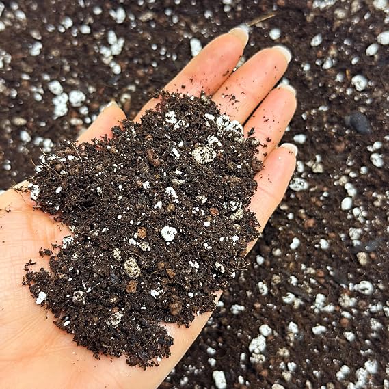 Bonsai Mix Organic with Mycorrhizal Fungi – Premium Potting Blend with Perlite, Worm Castings, Coco Coir, Neem and Seaweed for Strong Roots and Healthy Growth (2L)